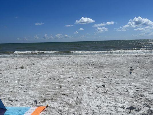 Newton Beach Park