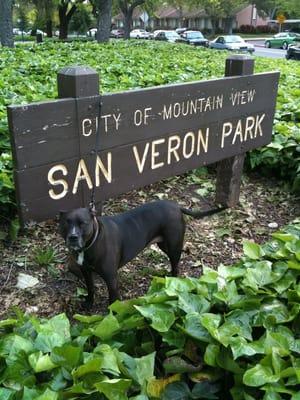 San Veron Park