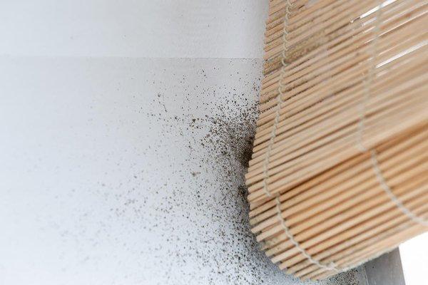 Americas Choice Inspections