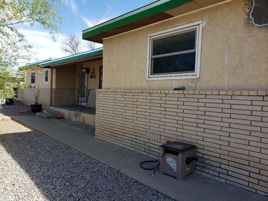 Spotted Horse Painting