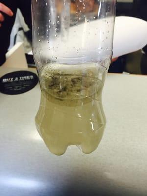 5% gasoline 95% contaminated