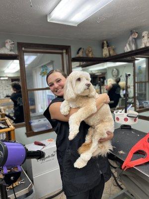Diamond Cut Dog Grooming School