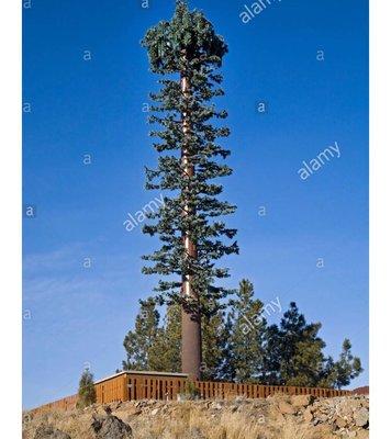 Cascade middle school - hidden cancerous cell tower