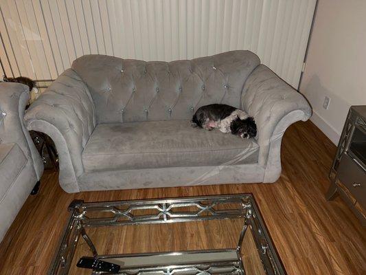 West Coast Movers Co