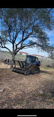 Third Koast Land Management