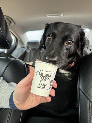 Moody Cat Coffee Shop