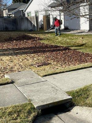 Cutting Edge Landscaping