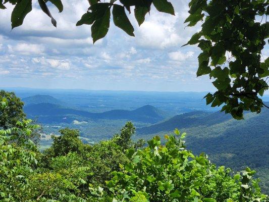 Patricia Ann Byrom Forest Preserve Park