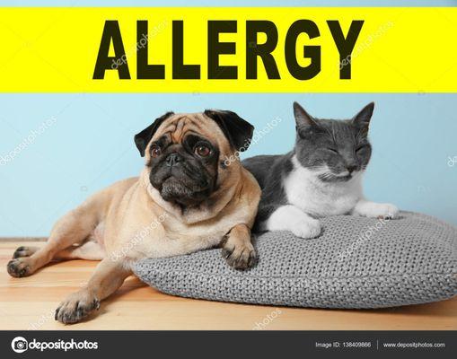 Midtown East Family Medicine