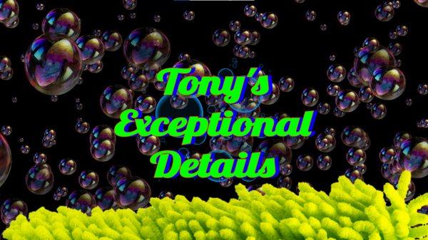 Tony's Exceptional Details