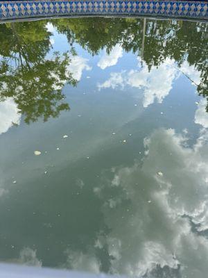 Unique Pools Spas and Grills