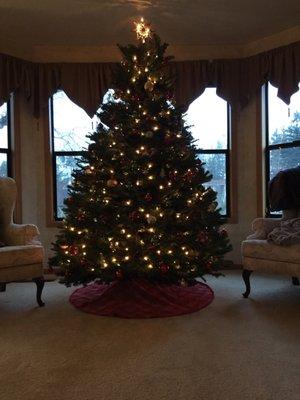 Lawrence Christmas Tree Farm