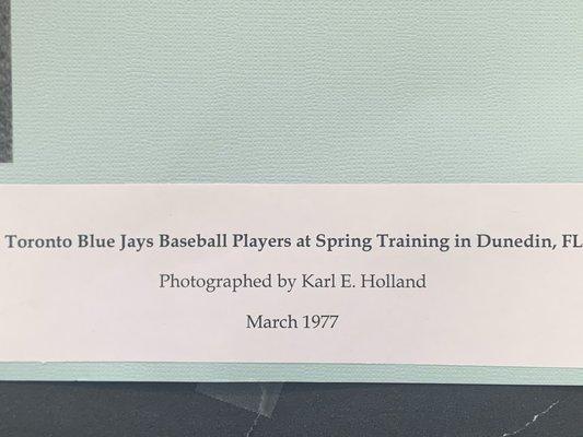 Dunedin Public Library