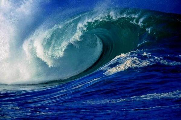 Sea Breeze Research & Data Solutions