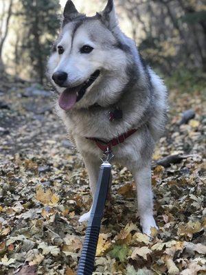 I love canyons that are dog friendly