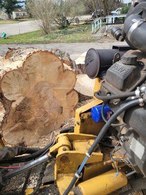 A1 Landscaping and Stump Removal