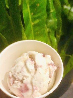 Blueberry Cheesecake