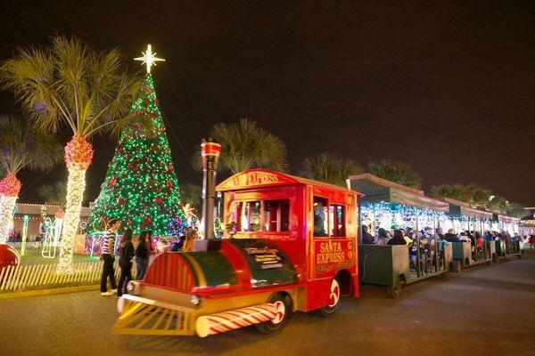 Hidalgo Festival Of Lights