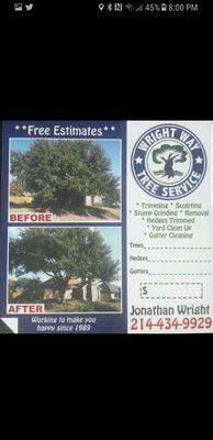 Wright Way Tree Service