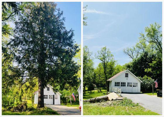 Alpha Tree and Property Service