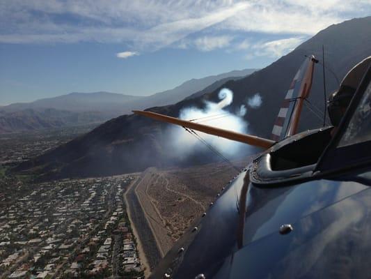 Palm Springs Bi-planes
