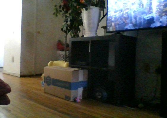 This order is sitting right where it is because it's heading to the trash.