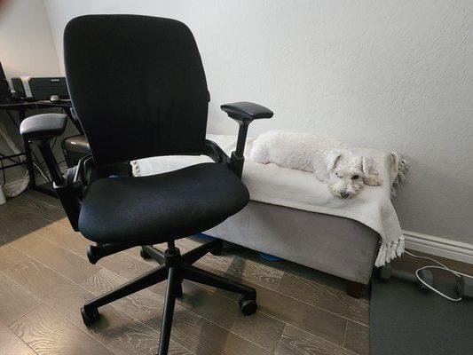 Used, good condition Steelcase Leap V2 for 225!