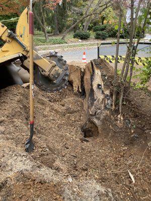 IG Tree Care Service