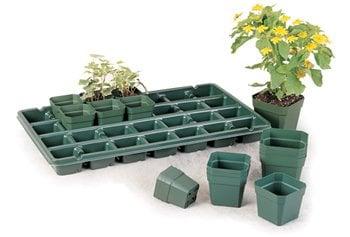 Waddell Farmhouse Seeds