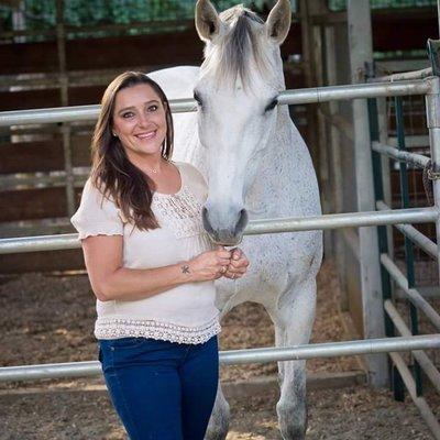 Phoenix Mccormack Dressage