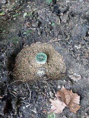 FM Tree Service & Landscaping