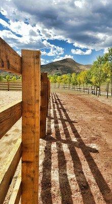 Timberland Fence, Lawn, and Landscape