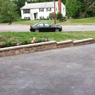 Total Lawn Care & More