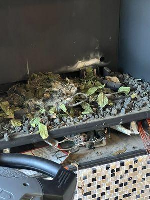 Looked much worse than this at first.