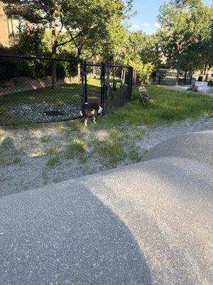 Tudor Street Dog Park