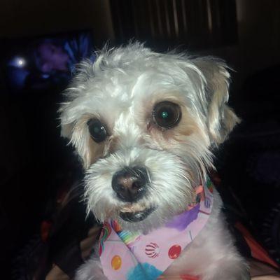 Here's a close-up picture of her all nice and cut looking Beautiful.