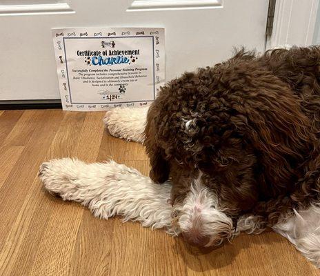 Holiday Barn Pet Resorts