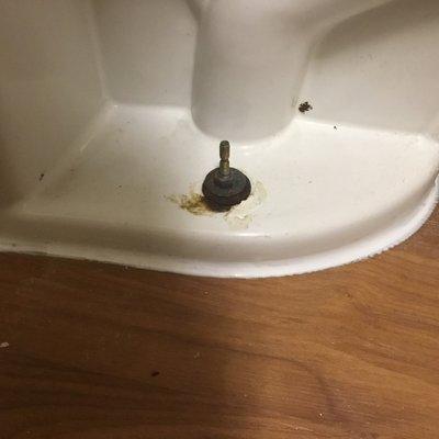 Fecal matter around bolt on toilet