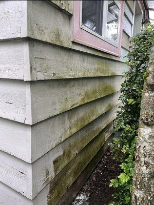 Prominent Stronghold LLC