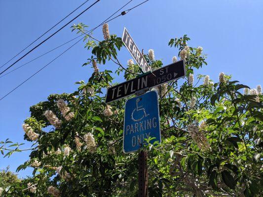 Jewel's Terrace Park