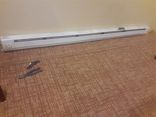 First Light Electric