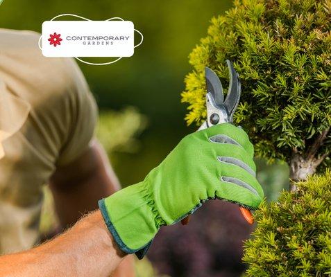 Contemporary Gardens