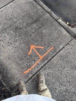 Rod’s Concrete & Repair Services