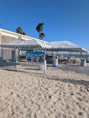 Belmont Plaza Olympic Pool