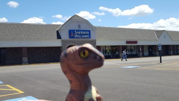 Sherwin-Williams Paint Store