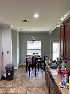 Leo's Elite Coatings