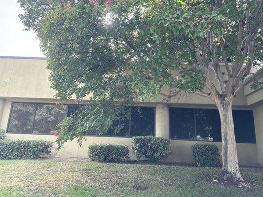 Peterson Kimberly, OD