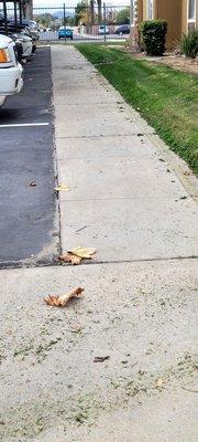 Bill and Dave's Landscape Maintenance