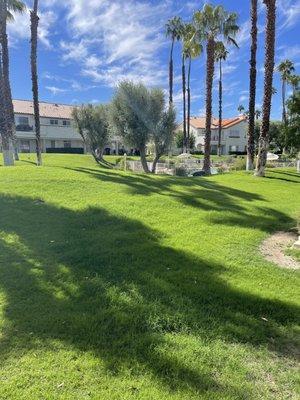 Pool 19 from my patio