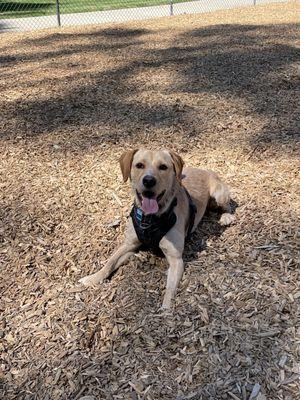 Muirwood Community Park